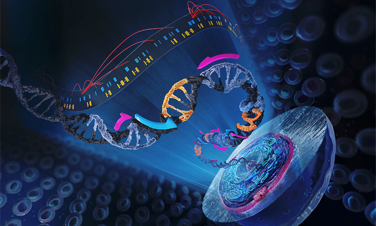 Rivoluzione nella Ricerca sull’RNA: Svelata la Potenza di KARR-seq