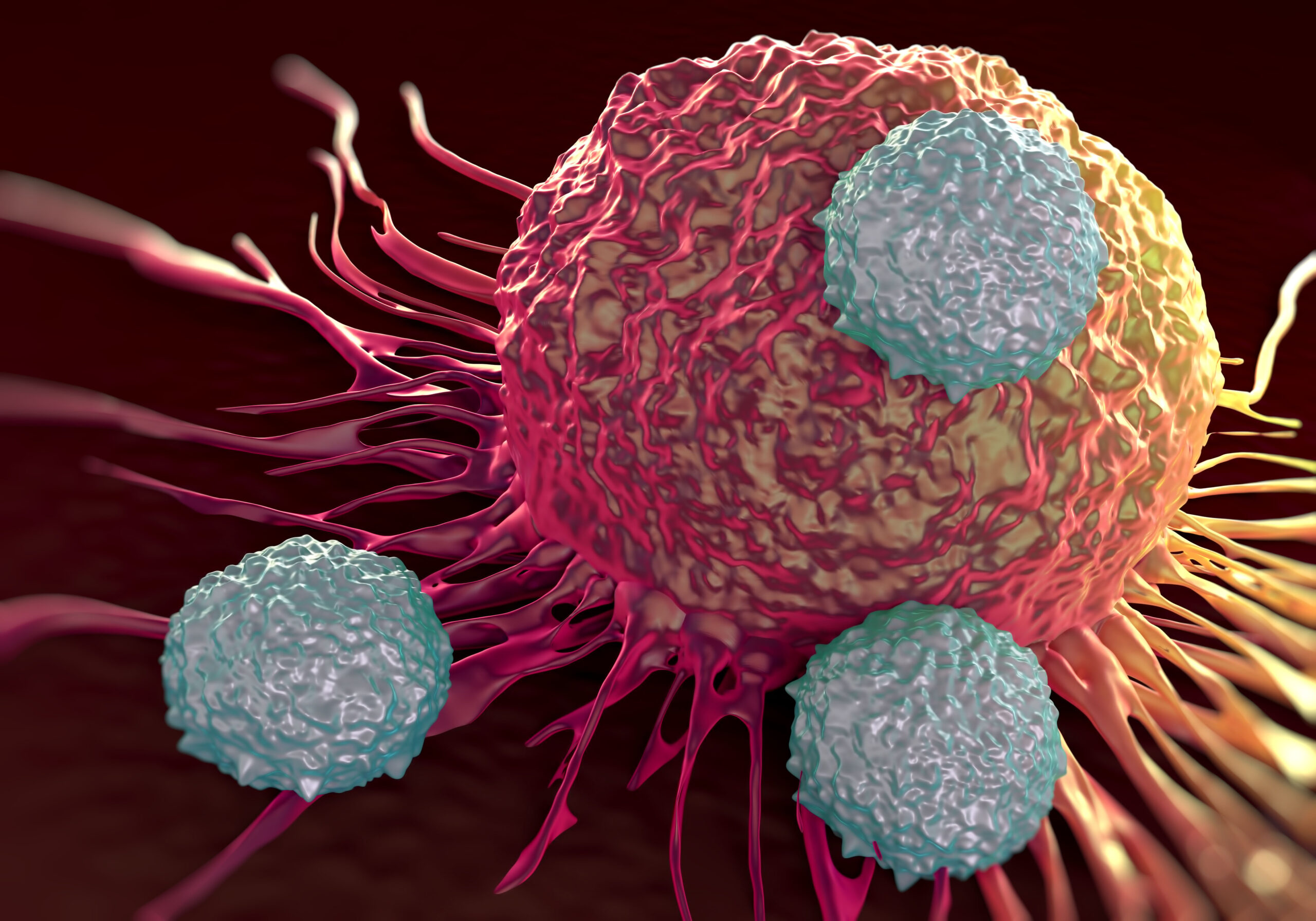 Scopri di più sull'articolo Sfruttare la Superpotenza della Natura: Scienziati Rilasciano Cellule T Ingegnerizzate per Combattere Tumori Solidi