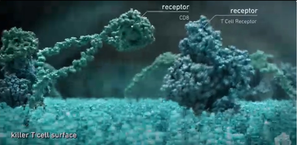 Potenziare la Terapia con Cellule CAR-T Modificando p53: Una Svolta nel Trattamento del Cancro