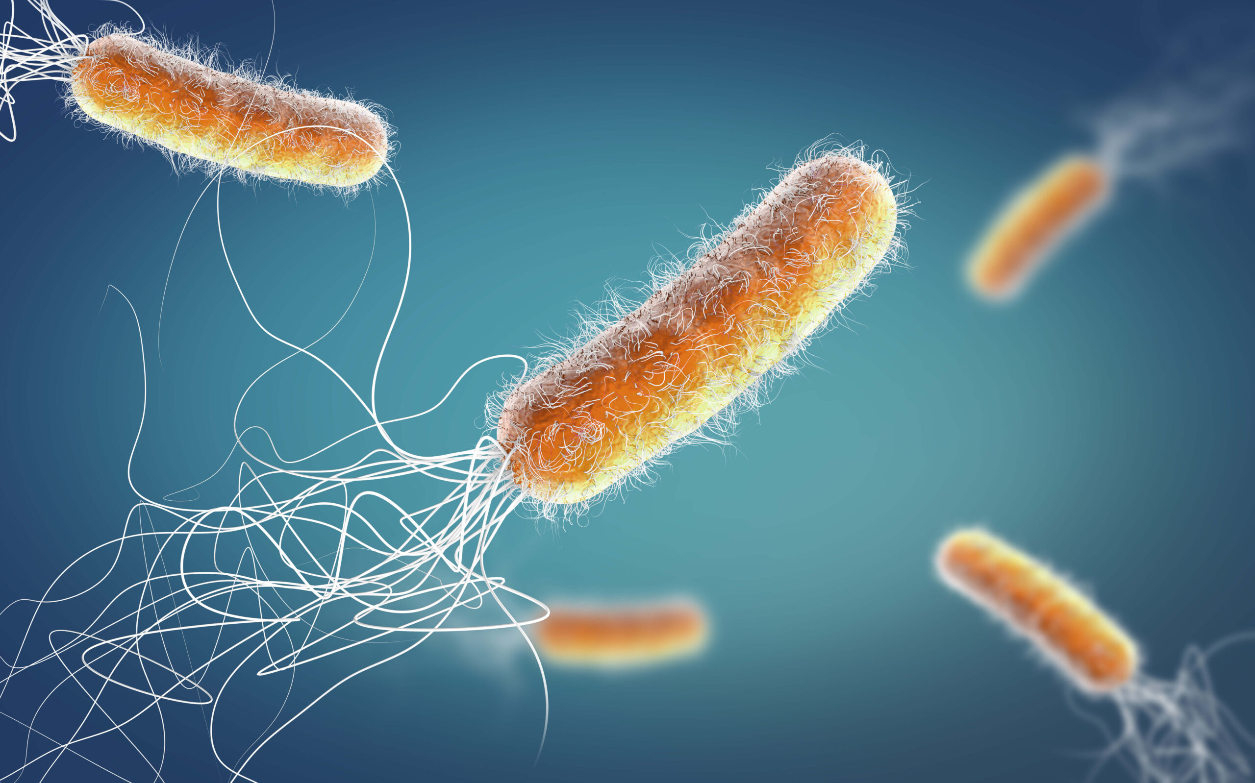 Polyphosphate: A Key Player in Bacterial Resting State