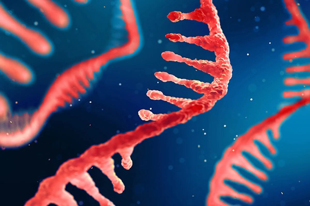 PRINT: Una Tecnica Promettente per la Terapia Genica