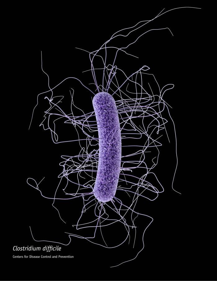 La Lotta Contro la Resistenza agli Antibiotici: Sfruttare la Dipendenza dallo Zinco dei Batteri
